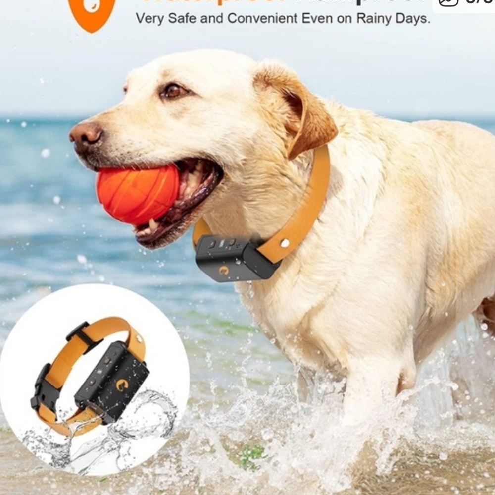 Befond Bark Control Collar in Orange, NIB - Picture 3 of 3